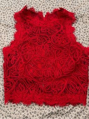Missguided Red Lace Cropped High-Neck Tank
